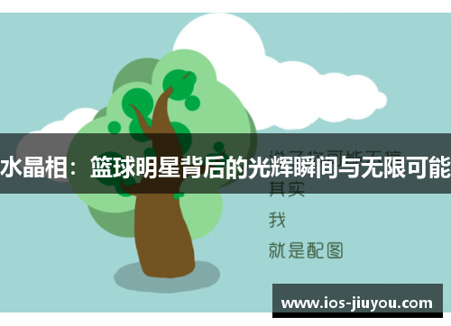 水晶相：篮球明星背后的光辉瞬间与无限可能